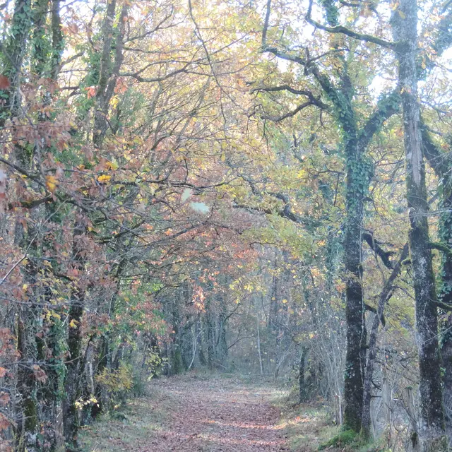 intersection_10_après5 2