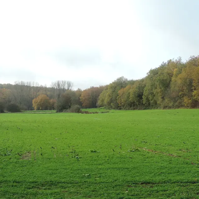 intersection14_après_2