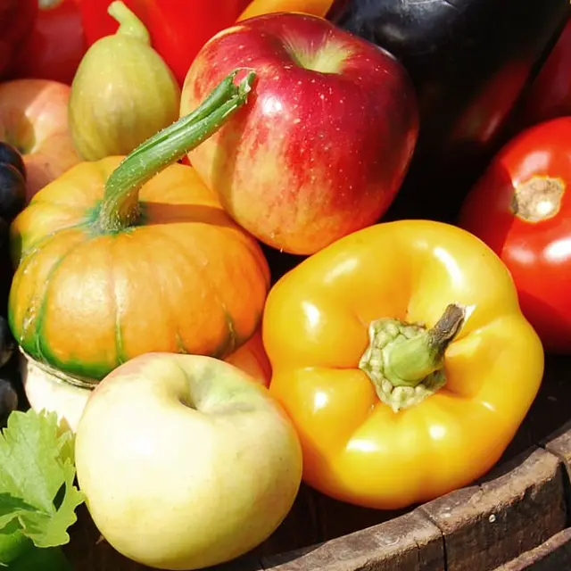 istockphoto-92420025-2048x2048-fotor-20260306164253