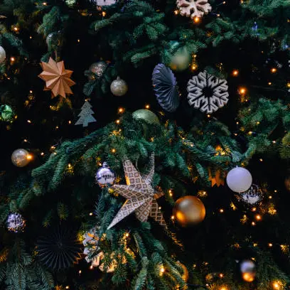 istockphoto-1444141764-612x612