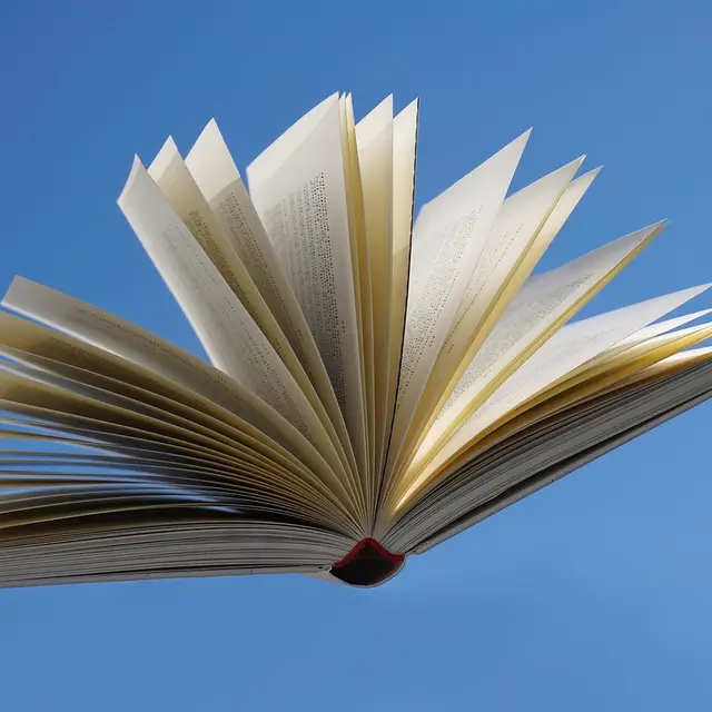 kranich17-book-8664639_1280