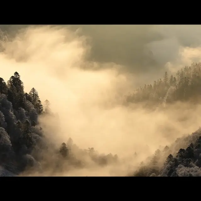 lcdf_promov06_241211.mp4_snapshot_02.31.200