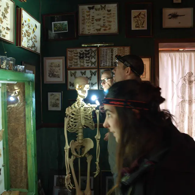 la nuit des musées cité cité des insectes3