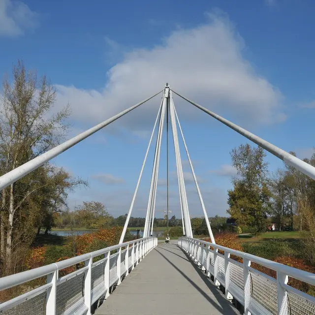 Laroin - le pont