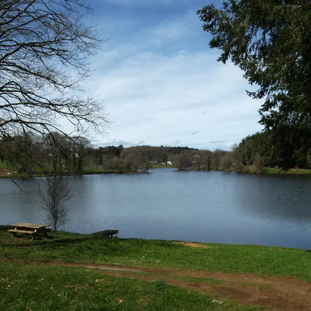 le tour de l'etang neuf P1030020