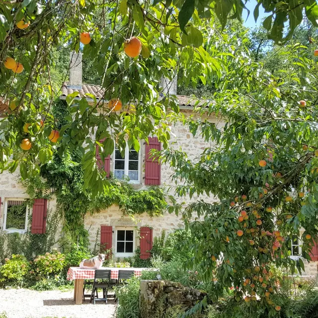 lemoulin-ext