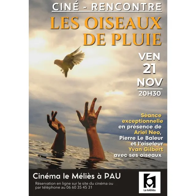 les-oiseaux-de-pluie