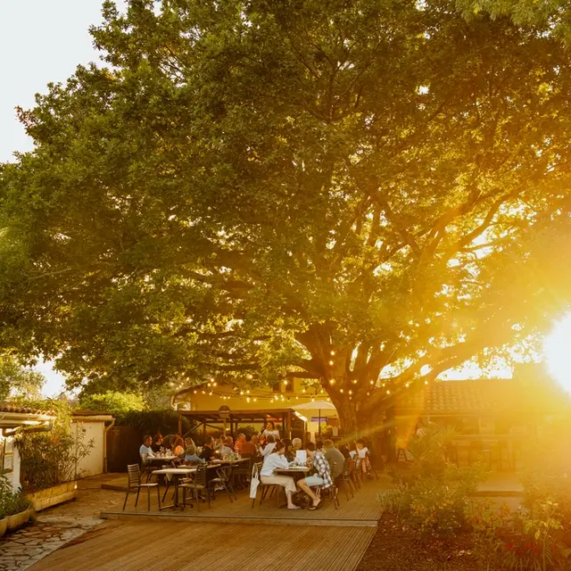 maiade_terrasse__6_ (Copier)