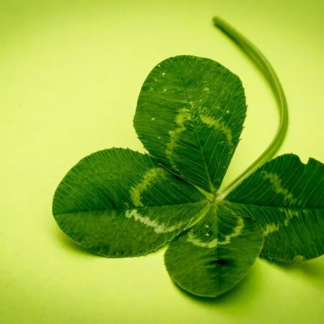 meineresterampe-clover