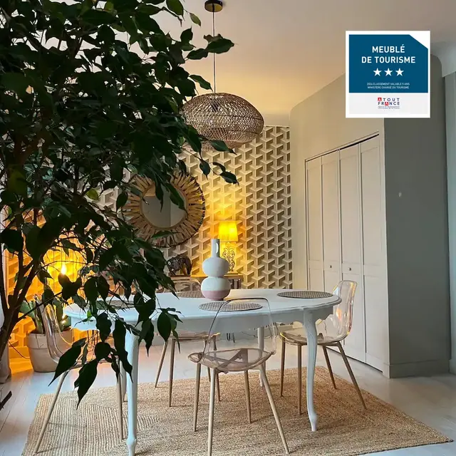 Appartement Lafitte - pau - séjour