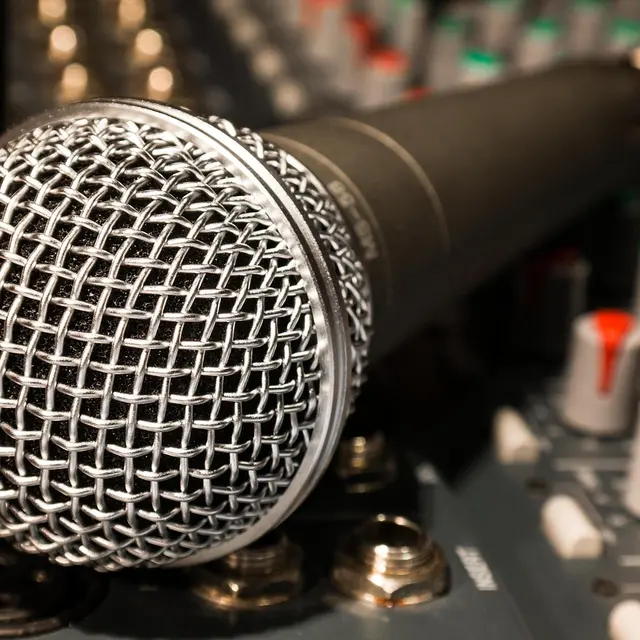 microphone (2)