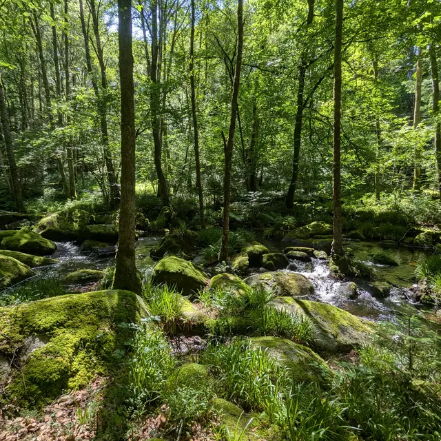 moulins&rochers-tarnac