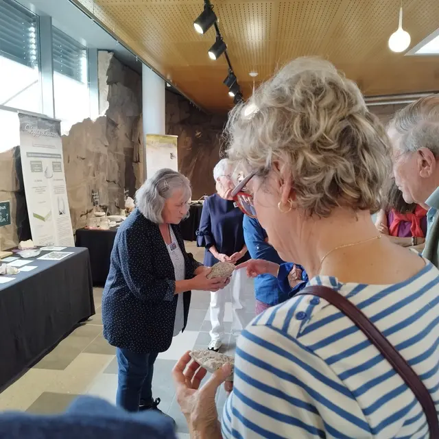 Visite commentée de l'exposition sur le kaolin et la porcelaine au musée Urêka