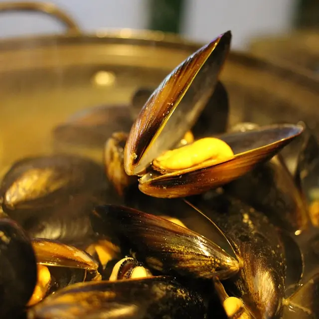mussel-soup