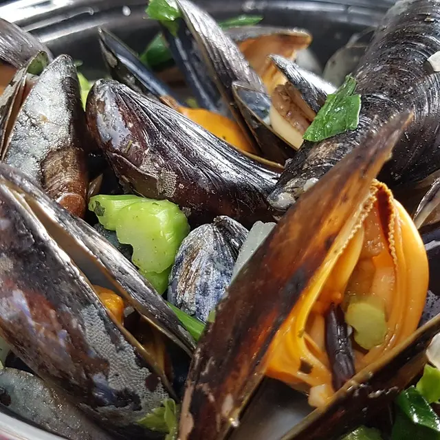 mussels-4375642_1280