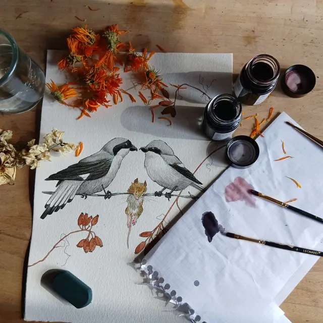 nature et création
