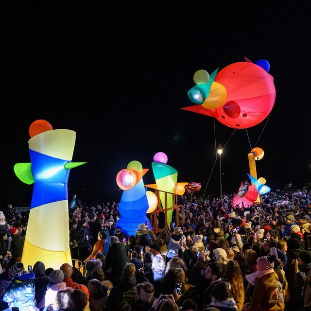 Noël à Pau - fête des lumières