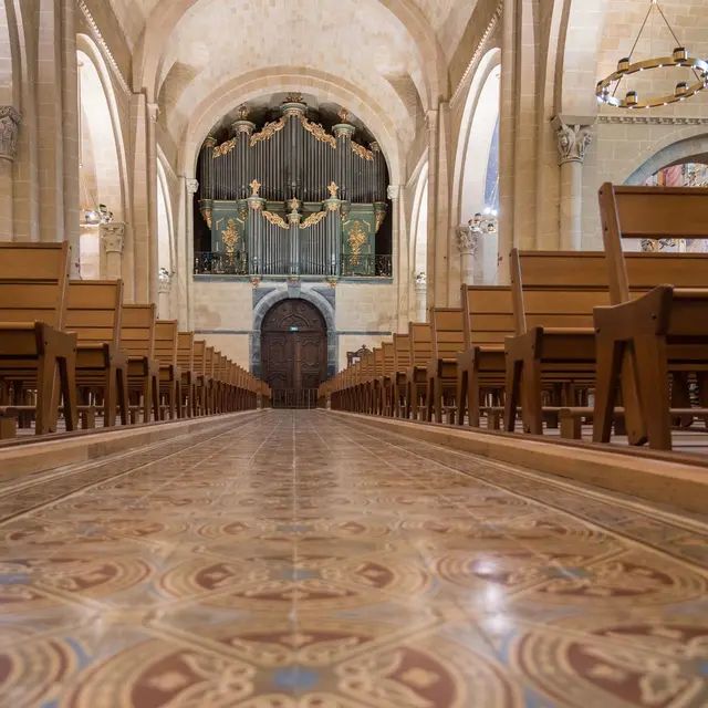 Orgue de la Cathédrale - Lescar - vue d'ensemble