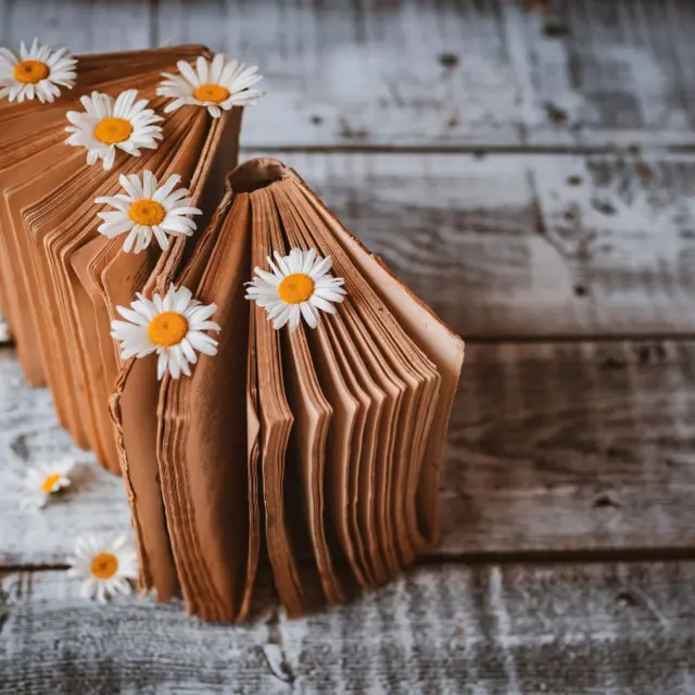 pageetplumeprintemps