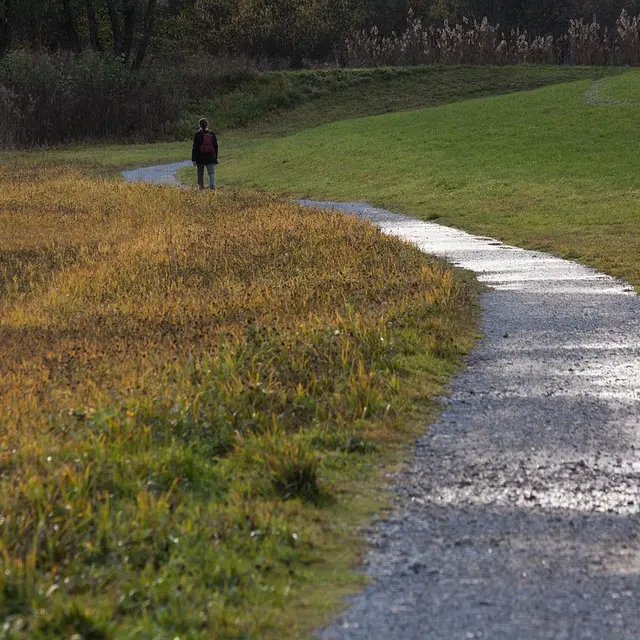path-2