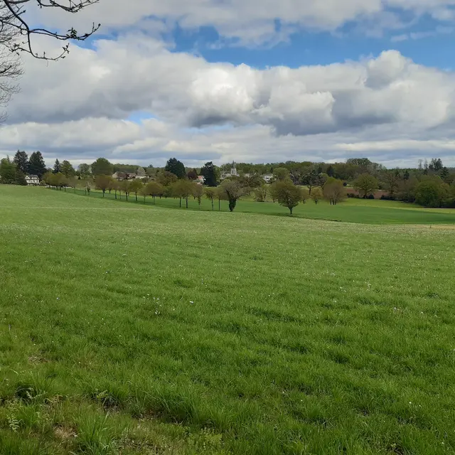 paysage
