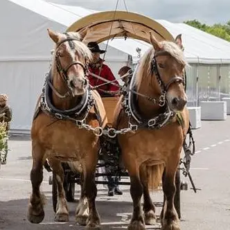 Promenade en Calèche avec Pénélope et Gess Départ