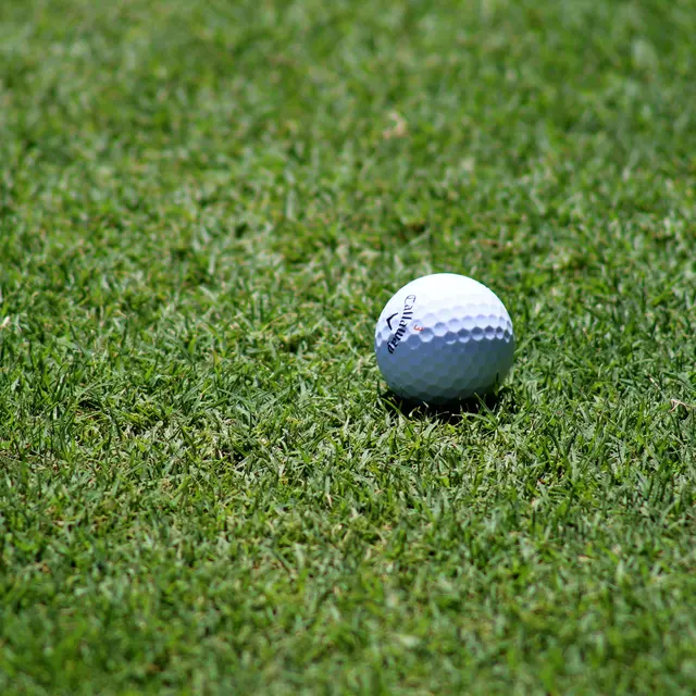 pexels-golf-1850984