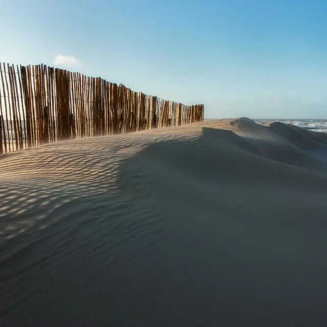 pexels-hans-heemsbergen-2152884034-32675402