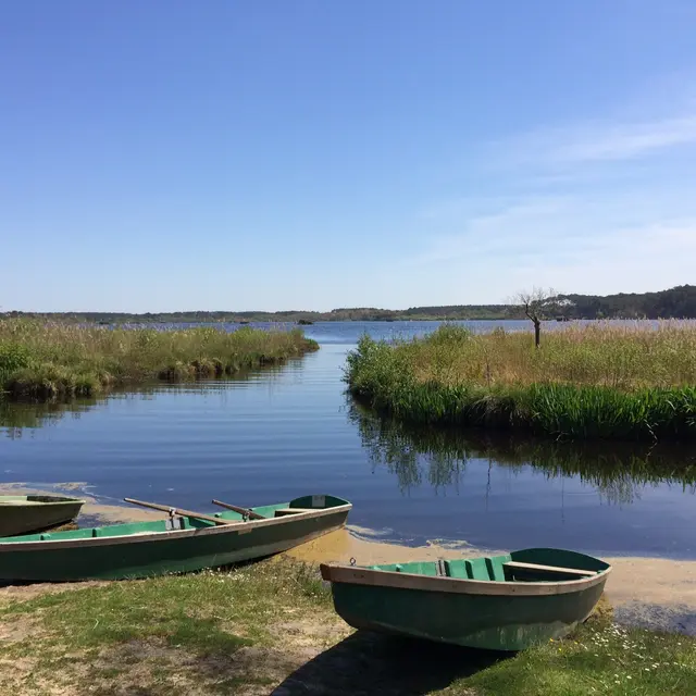 barques et pêche sur l'étang blanc