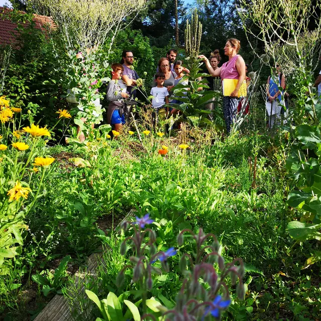 photo jardin animation