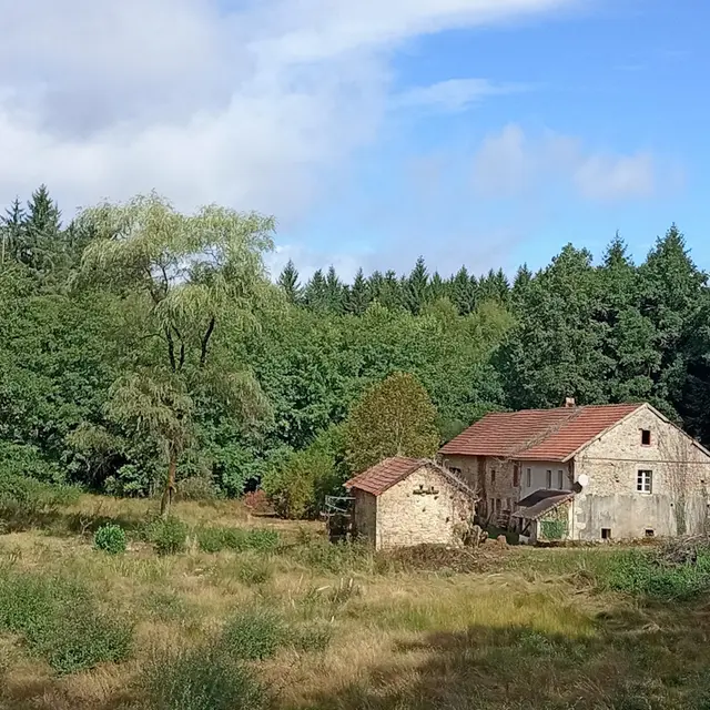photo jep jabreilles