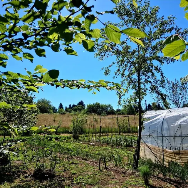 La petite ferme des Marmiers