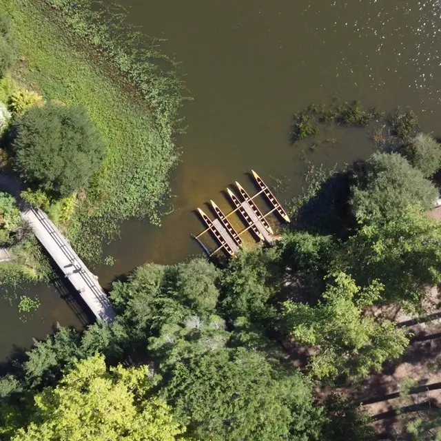 Au cœur de la nature