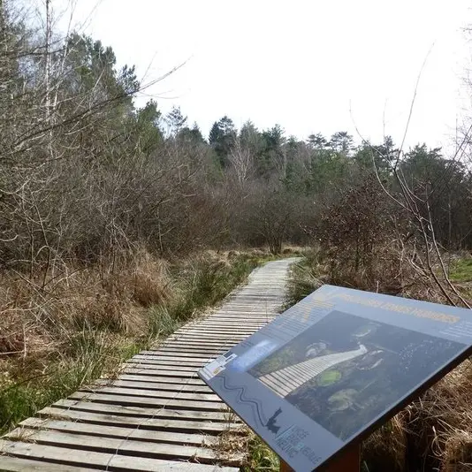 poi-2-pecieuse-zones-humides-ccvem_1.JPG.800x800_q85_watermark-d41d8cd98f00b204e9800998ecf8427e