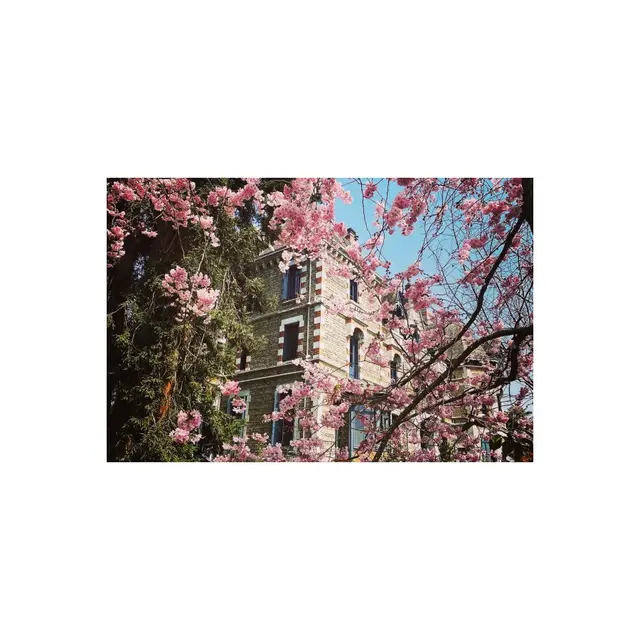 printemps_maintenant