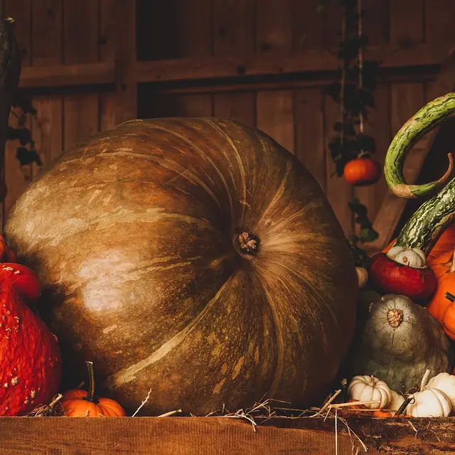 pumpkin-