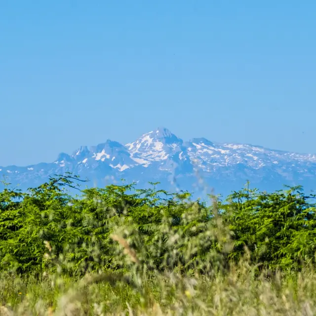 rando-pau-bougarber-crete-du-chateau-05