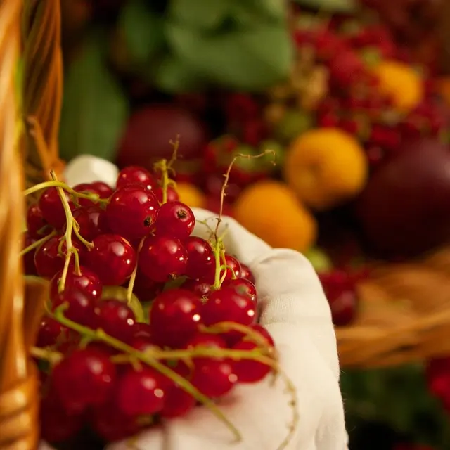 red-currant