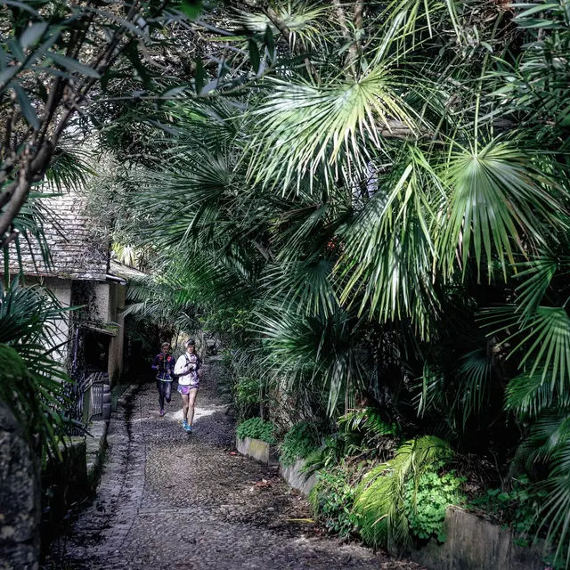 redim@Cyrille Quintard-naturetrail-dordogneJ1-2010