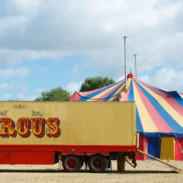 Cirque