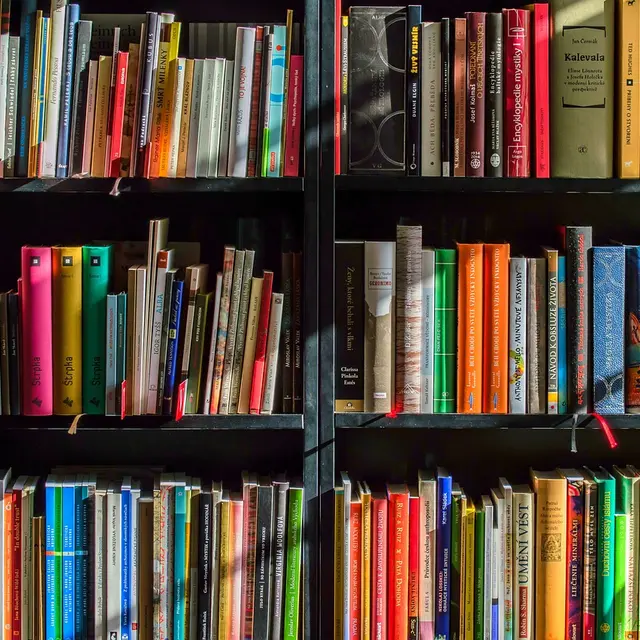 reseau-des-mediatheques©LubosHouska