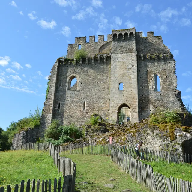 Château de Chalucet