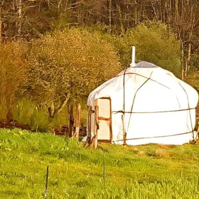 yourte-au-coeur-de-la-nature