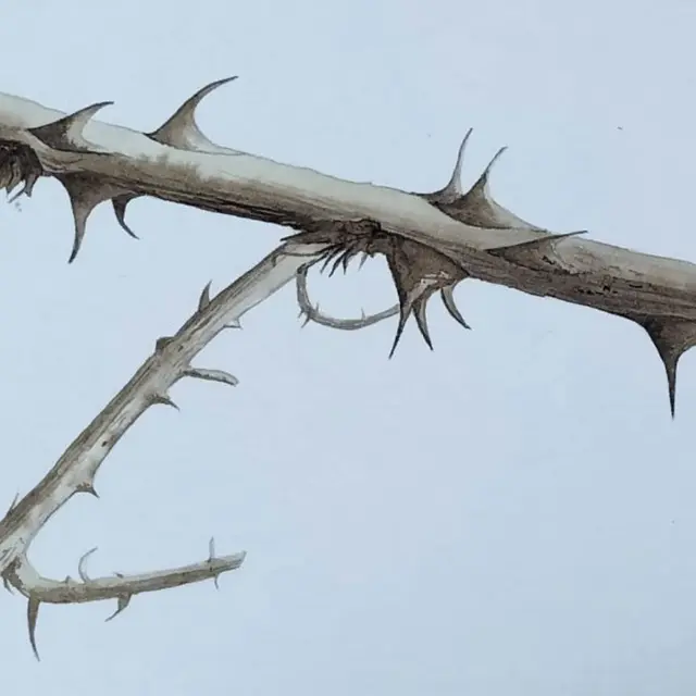 Exposition - Les murmures du vivant - Nexon