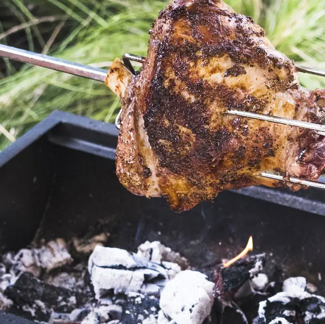 roasted-spit-piece-meat-grill