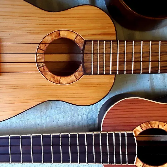 robin ukulele