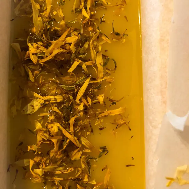 savon de l'or_pitchoun