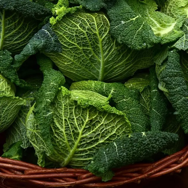 savoy-cabbage-3860933_1280