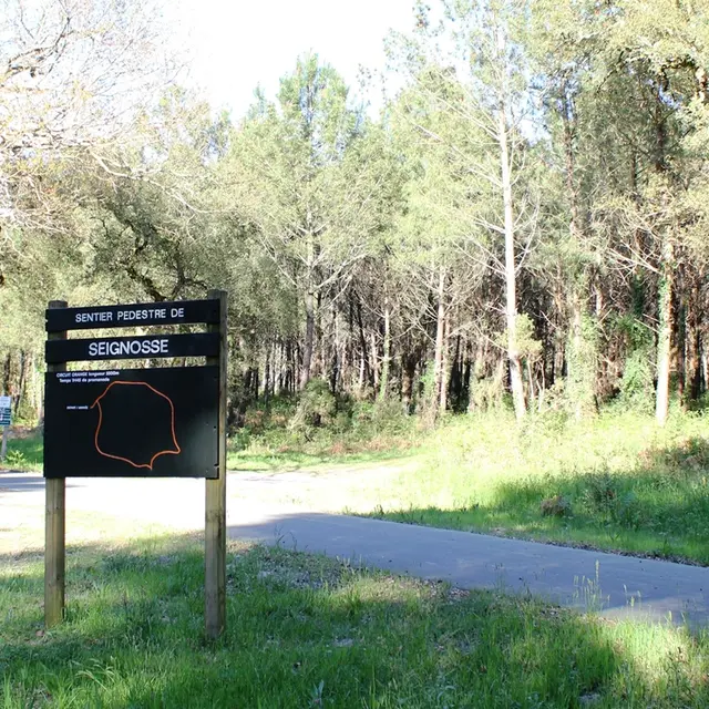 randonnée sur le sentier de la palombière