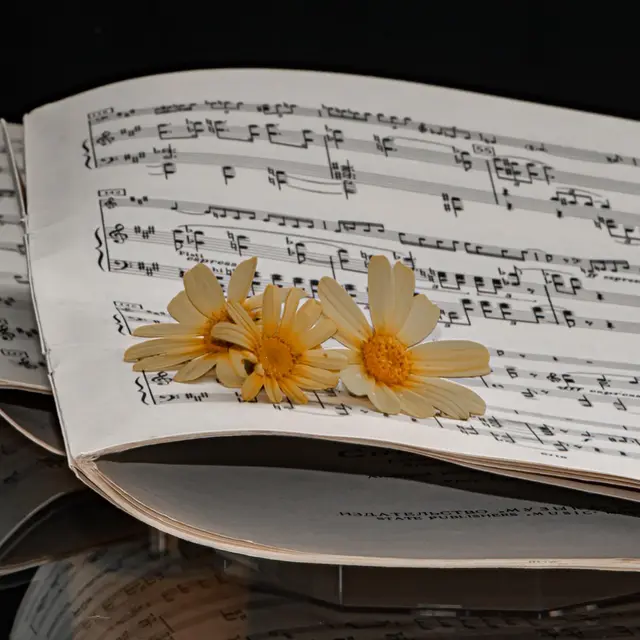 sheet-music (2)
